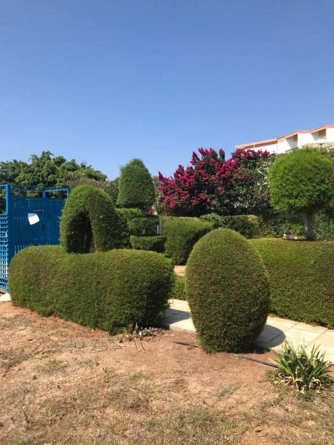 2 Bedroom Apartment-Mediterranean Type Пафос Екстер'єр фото